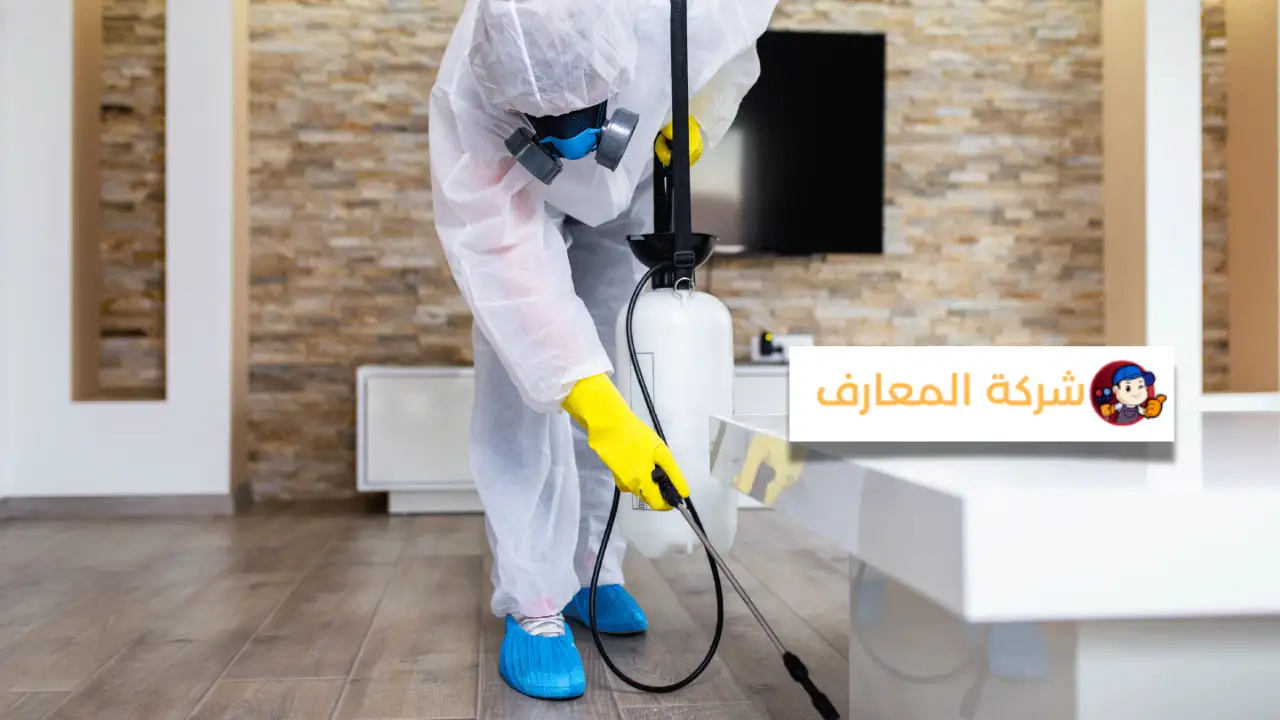 شركة مكافحة الحشرات في عجمان