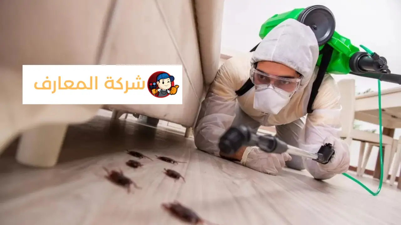 أفضل شركة مكافحة الذباب دبي