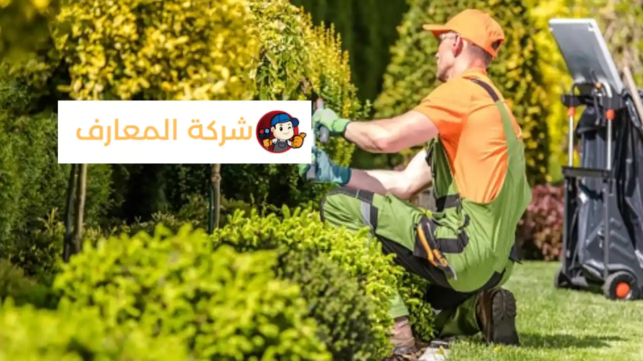 شركة تنظيف حدائق في راس الخيمة