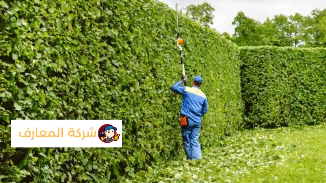 أفضل شركة تنظيف حدائق في راس الخيمة 