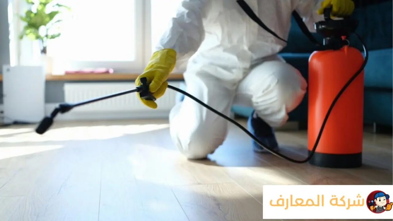 شركة مكافحة حشرات في الشارقة