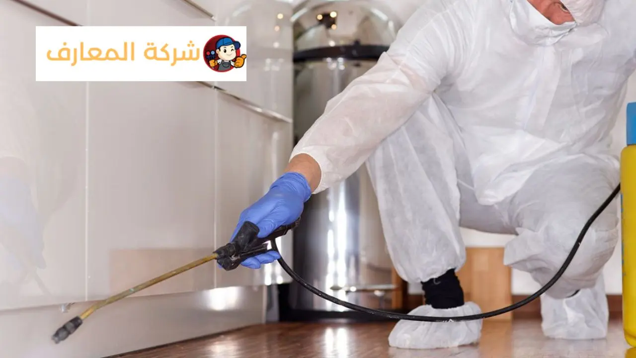 شركة مكافحة حشرات في الفجيرة