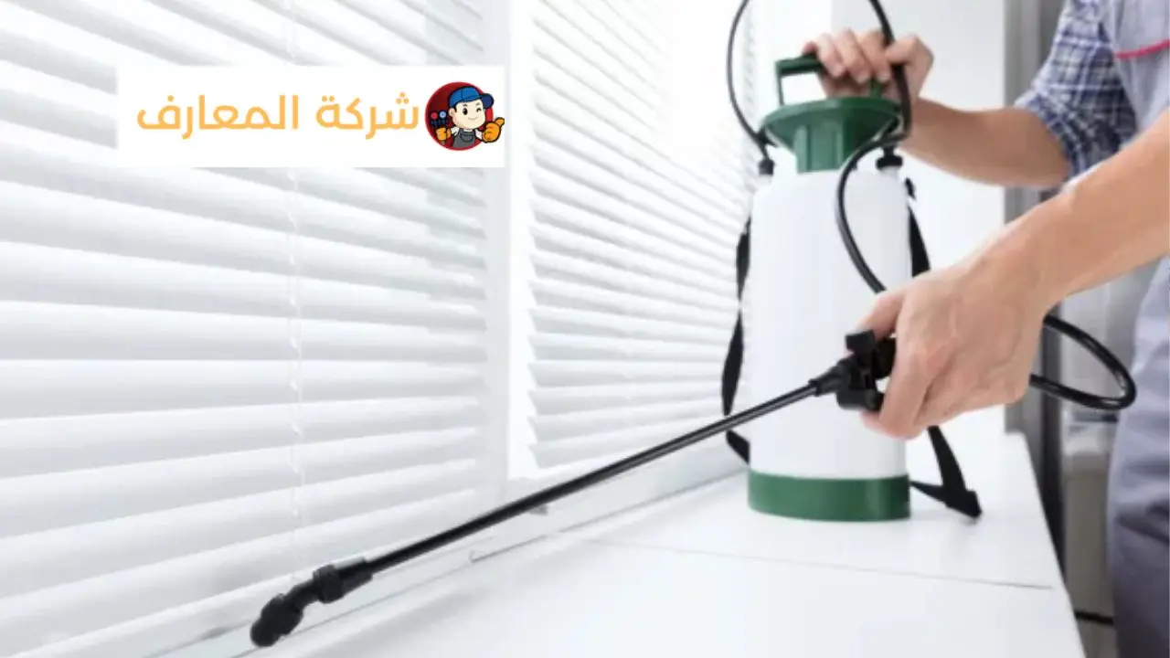 شركة مكافحة حشرات في ام القيوين