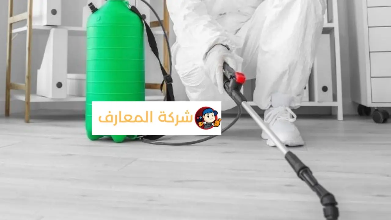 مكافحة حشرات في رأس الخيمة