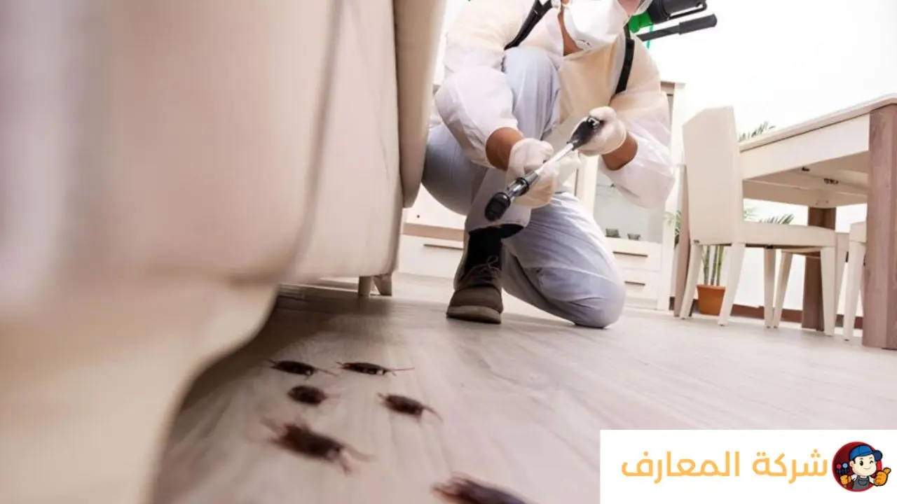 افضل شركة مكافحة حشرات في ابوظبي نعمل علي البدأ في تنفيذ حملة القضاء علي الحشرات استنادا علي خطة العمل الموضوعة والقيام بعمل الجلسات الازمة في اعمال الرش والمكافحة واهم ماتتميز به شركتنا كالاتي : عمالة واعية ومدربة علي احدث طرق الرش والقضاء علي الحشرات القضاء علي الحشرات بشكل نهائي دون اللجوء الي تكرار الرش فلا تعود الحشرات مرة اخري اسعار ملائمة لعملائنا الاعزاء وتتوقف علي اساسها القيام باعمال المكافحة والقضاء علي الحشرات استخدام مبيدات حشرية امنة تمام علي صحة الاسر اجهزة حديثة تقوم برصد الحشرات من خلال زبزبات خاصة والوصول الي اي مكان تختبئ به الحشرة شركة مكافحة حشرات أبو ظبي يمكن اضافة بعض المقومات التى تساعد على القضاء على الحشرات ايضا و هي اجهزه رش المبيدات و التى اتسمت بقدرتها العالية على الرش لتلك المبيدات على اكبر مساحة ممكنه و الوصول الى الجوانب و الاركان و اسفل الاثاث و اعلاه بسهولة مما يسهل من الابادة بصورة كبيرة افضل شركة مكافحة حشرات في الامارات تختلف الطرق المستخدمه لابادة الحشرات على حسب نوع تلك الحشرات و مواصفات المكان الذي يراد رش المبيدات به كما انه لابد من الحرص على تكوين رؤية شاملة لاسلوب العمل و هو ما يساعد على توفير الكثير من الوقت و التوصل الى نتائج هائلة فى التنظيف