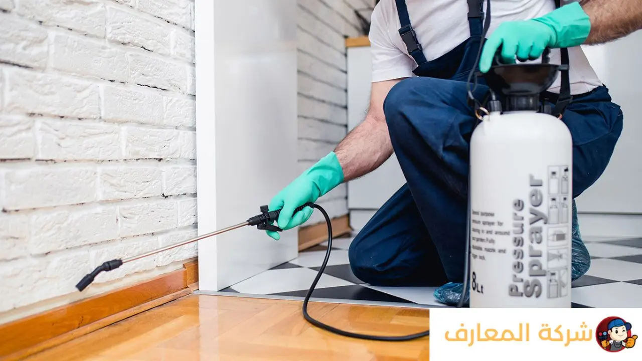 افضل شركة مكافحة حشرات في دبي