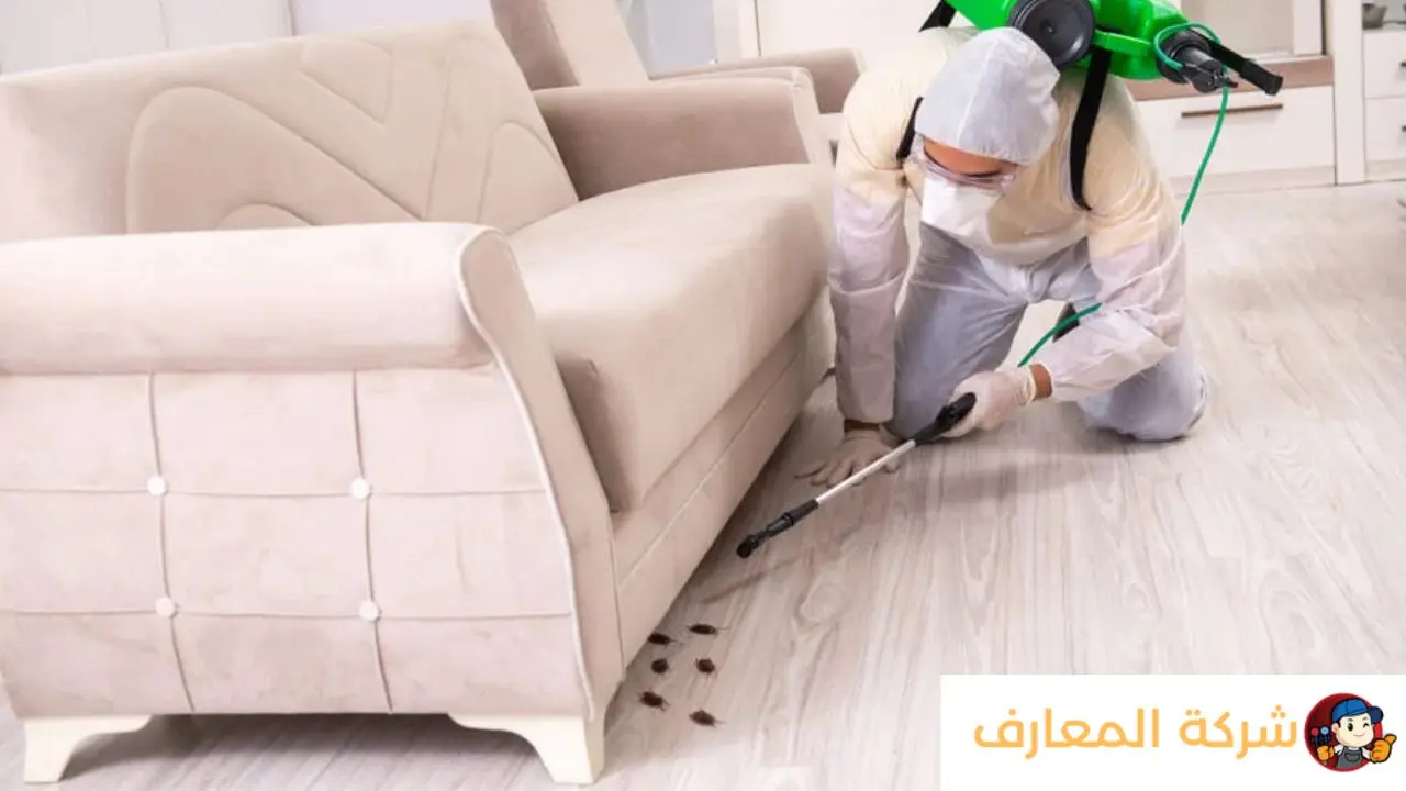افضل شركة مكافحة حشرات في عجمان