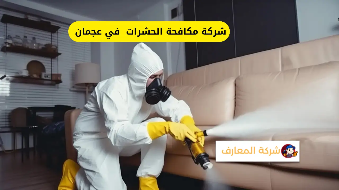شركة مكافحة الحشرات في عجمان