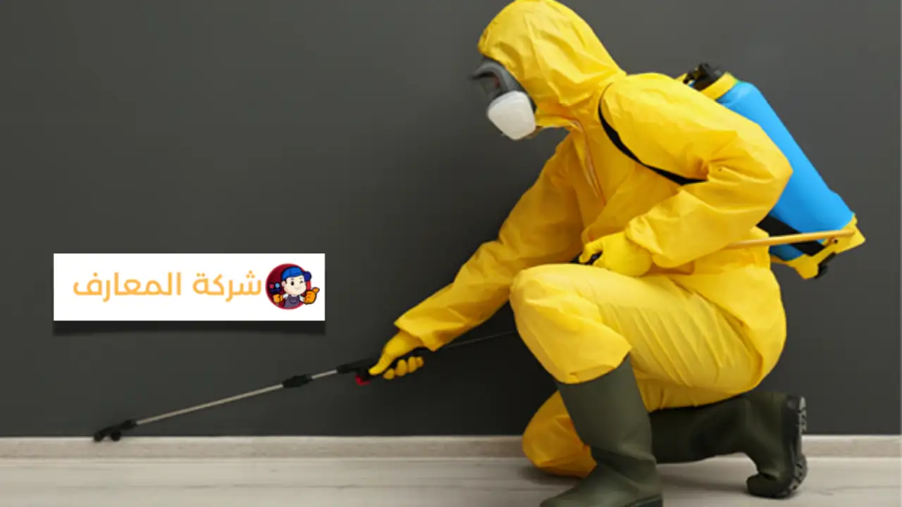 شركة مكافحة الحشرات في عجمان