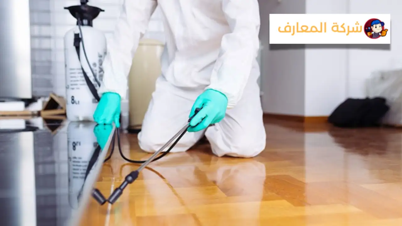 شركة مكافحة الحشرات في عجمان