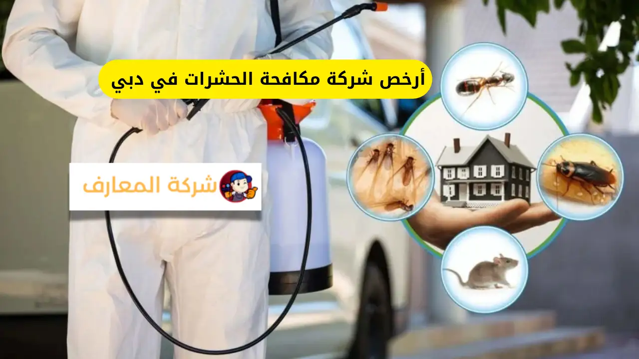 أرخص شركة مكافحة الحشرات في دبي