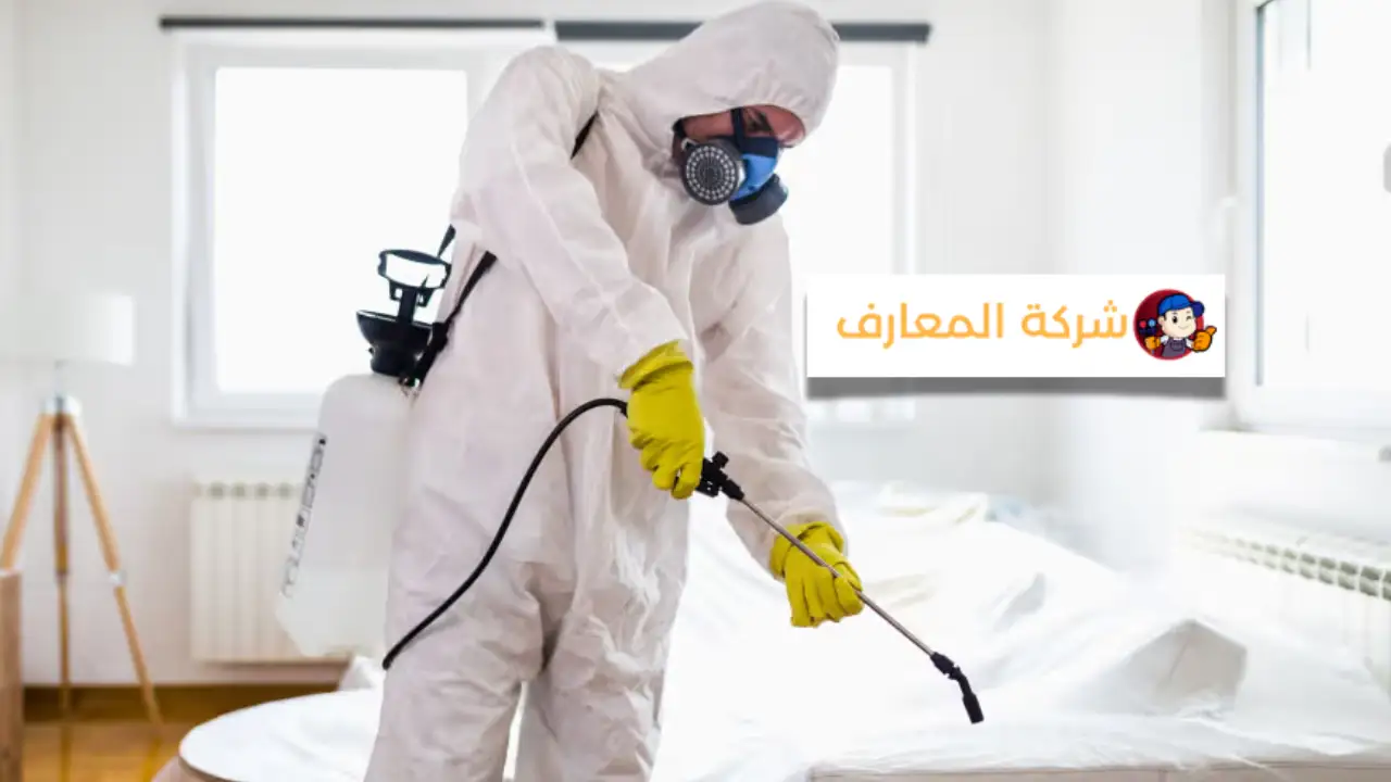 أرخص شركة مكافحة الحشرات في دبي
