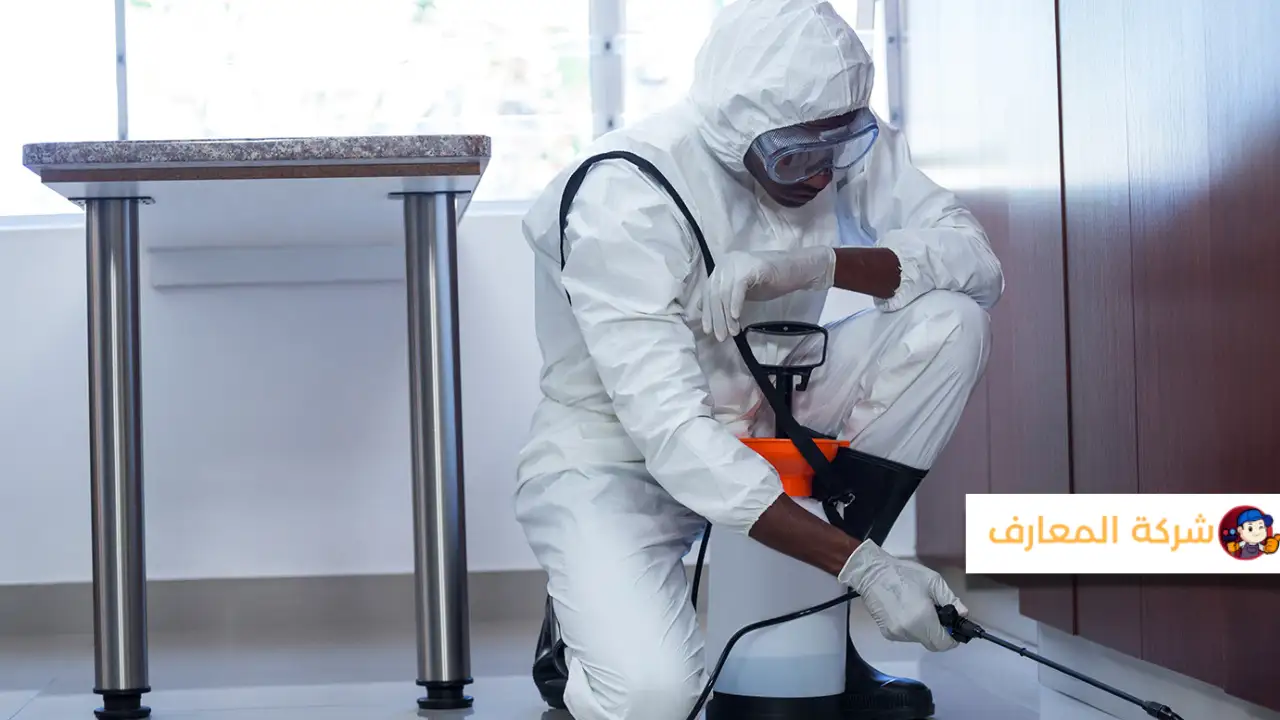 أفضل شركة رش مبيدات دبي