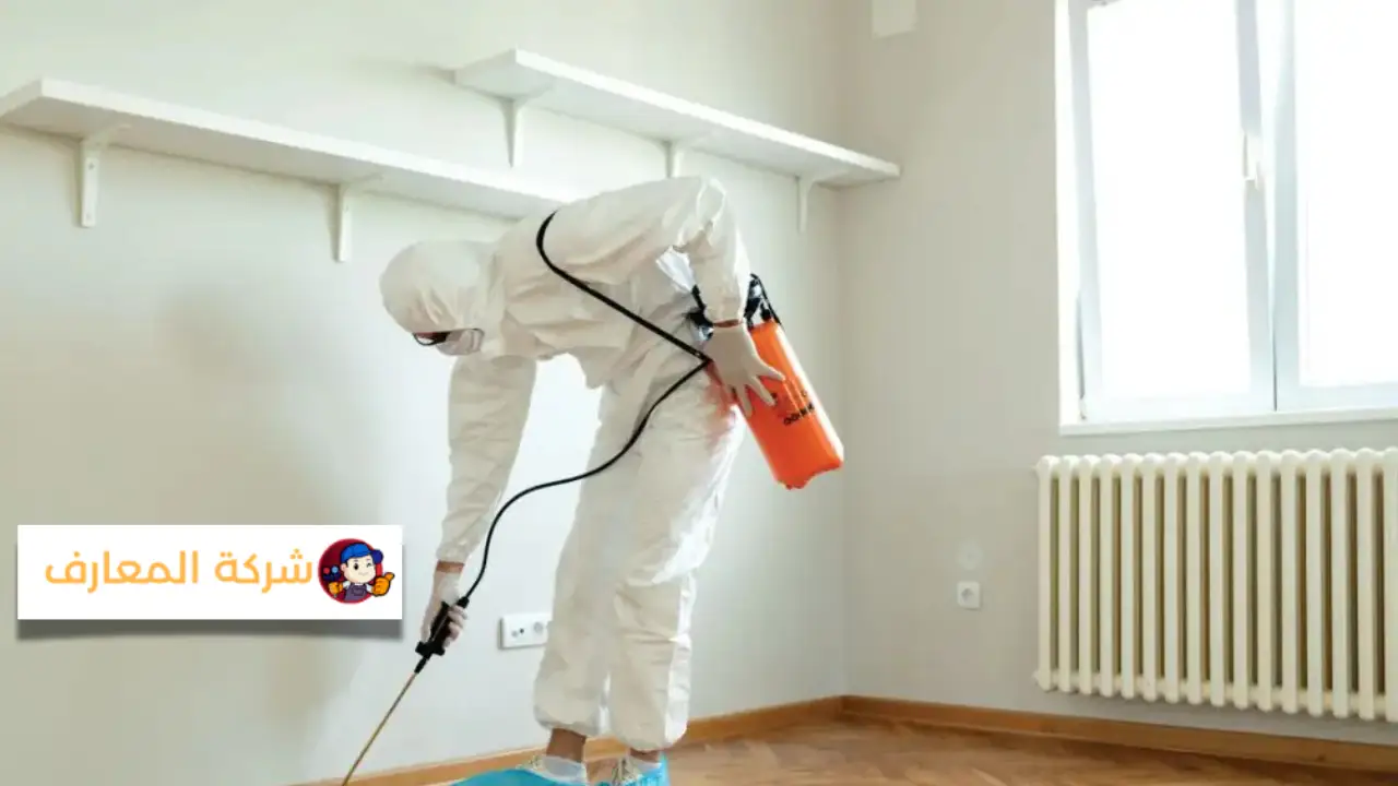 شركة مكافحة الحشرات في دبي