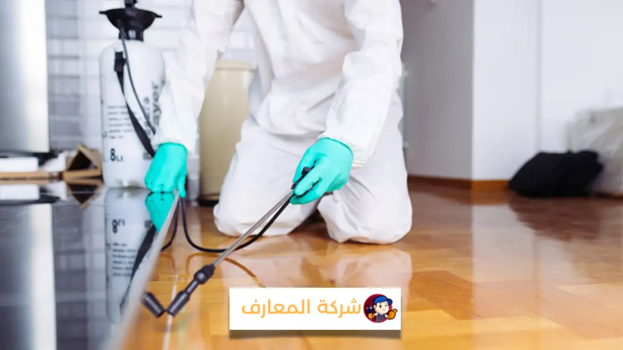 أرخص شركة مكافحة الحشرات في دبي