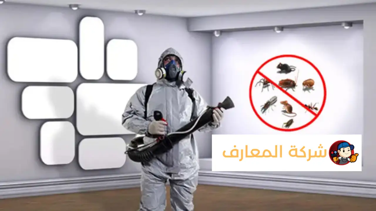 أفضل شركة مكافحة الربية دبي