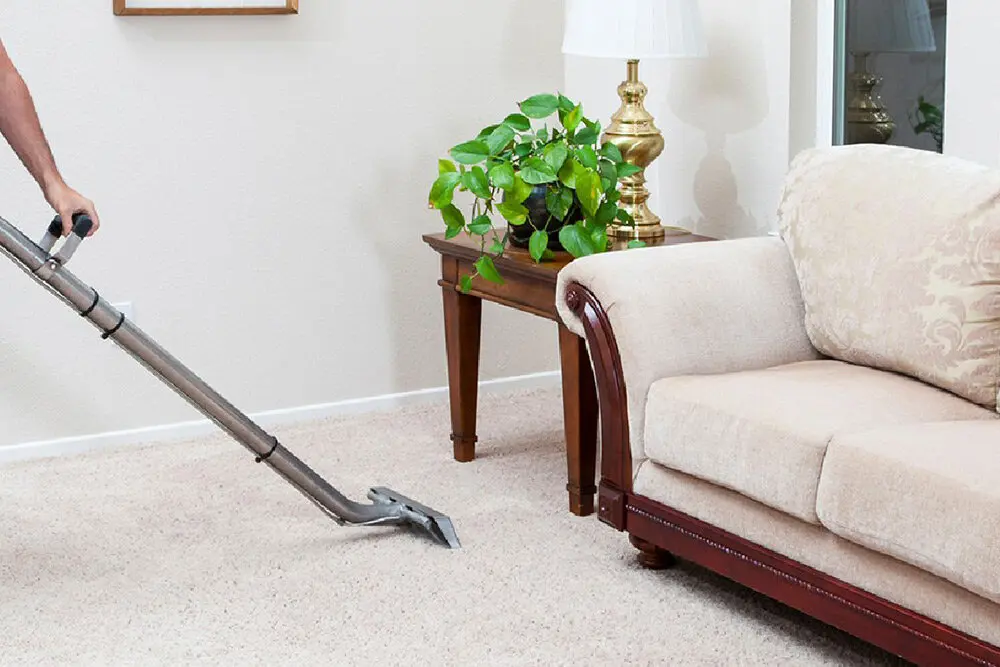 شركة تنظيف سجاد الشارقة