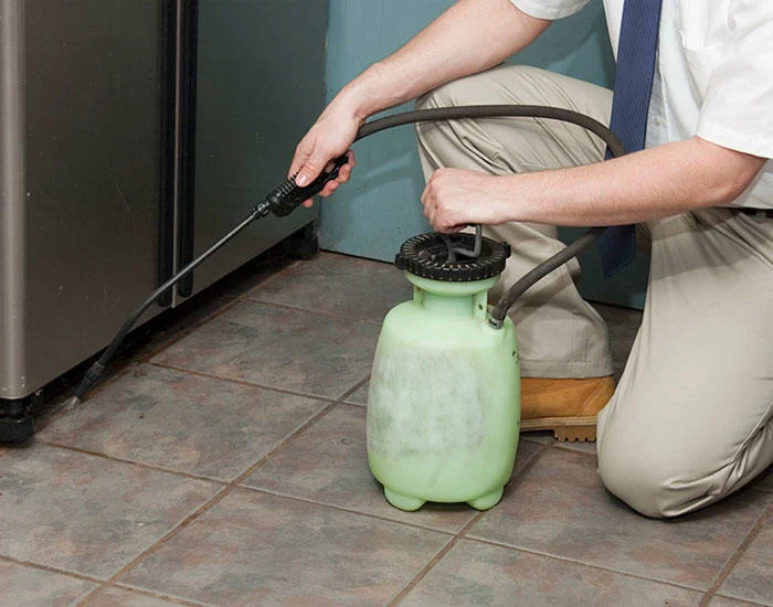 مكافحة النمل الابيض في دبي